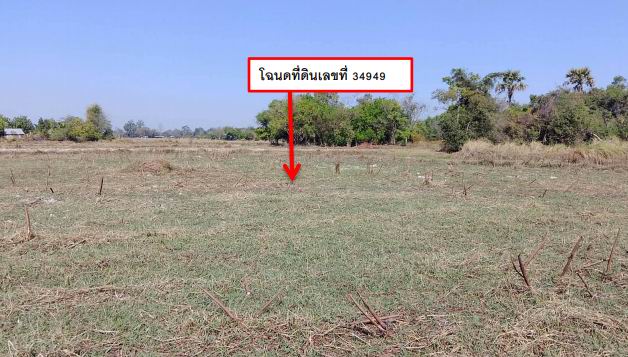 รูปที่ดินว่างเปล่า จังหาร จังหาร ร้อยเอ็ด
