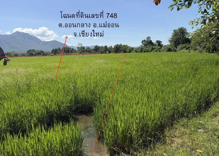 รูปที่ดินว่างเปล่า ออนกลาง แม่ออน เชียงใหม่
