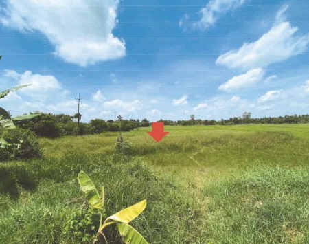 รูปที่ดินว่างเปล่า หนองแปน กมลาไสย กาฬสินธุ์