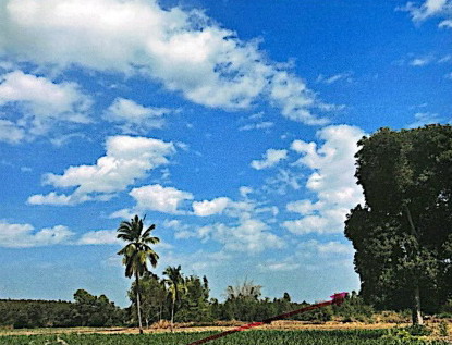 รูปที่ดินว่างเปล่า สามขา กุฉินารายณ์ กาฬสินธุ์