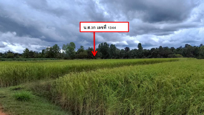 รูปที่ดินว่างเปล่า ลาดควาย ศรีเมืองใหม่ อุบลราชธานี