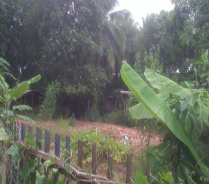 รูปที่ดินว่างเปล่า บ่อแก้ว นาคู กาฬสินธุ์
