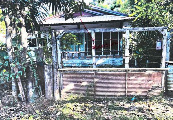 รูปที่ดินพร้อมสิ่งปลูกสร้าง บ้านธาตุ เพ็ญ อุดรธานี