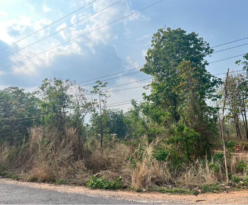 รูปที่ดินว่างเปล่า เขวาไร่ นาเชือก มหาสารคาม