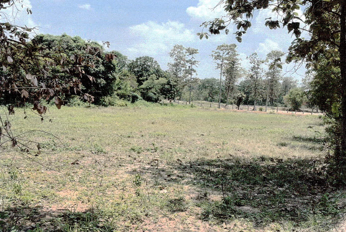 รูปที่ดินว่างเปล่า บุ่ง เมืองอำนาจเจริญ อำนาจเจริญ