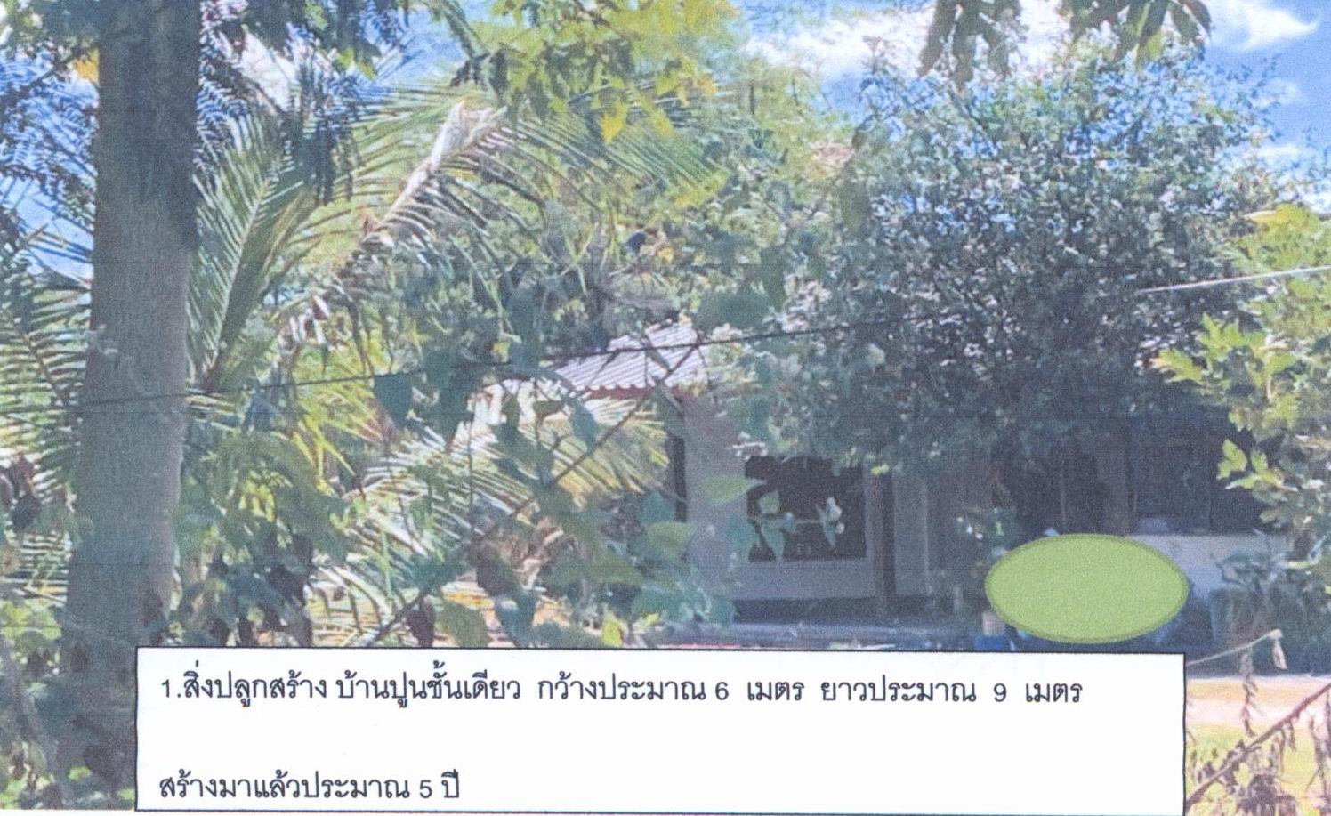 รูปที่ดินพร้อมสิ่งปลูกสร้าง แก้งกอก ศรีเมืองใหม่ อุบลราชธานี