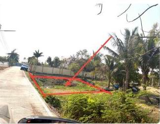 รูปที่ดินว่างเปล่า หนองงูเหลือม เมืองนครปฐม นครปฐม