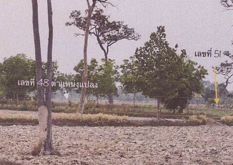 รูปที่ดินว่างเปล่า นาอุดม นิคมคำสร้อย มุกดาหาร