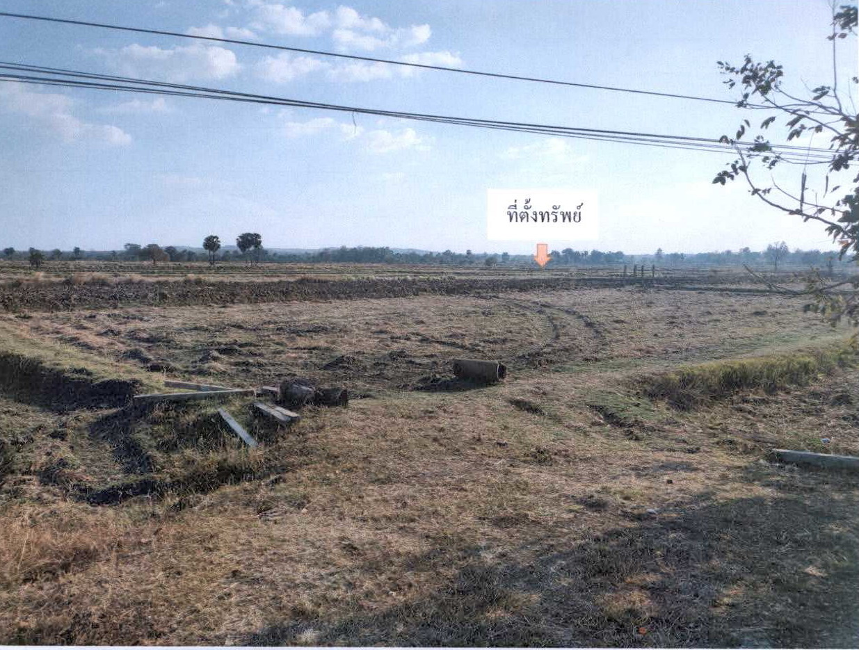 รูปที่ดินว่างเปล่า นางรอง นางรอง บุรีรัมย์