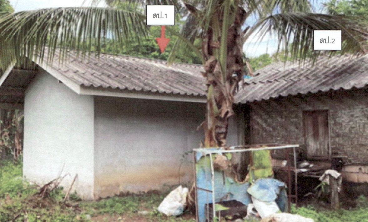 รูปที่ดินพร้อมสิ่งปลูกสร้าง ไสไทย เมืองกระบี่ กระบี่