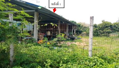 รูปที่ดินพร้อมสิ่งปลูกสร้าง ยางฮอม ขุนตาล เชียงราย