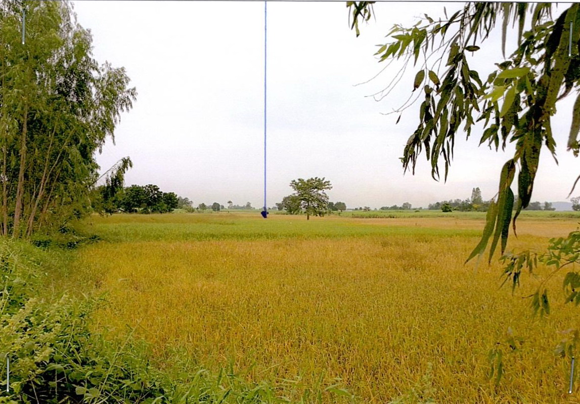 รูปที่ดินว่างเปล่า หนองกุงธนสาร ภูเวียง ขอนแก่น
