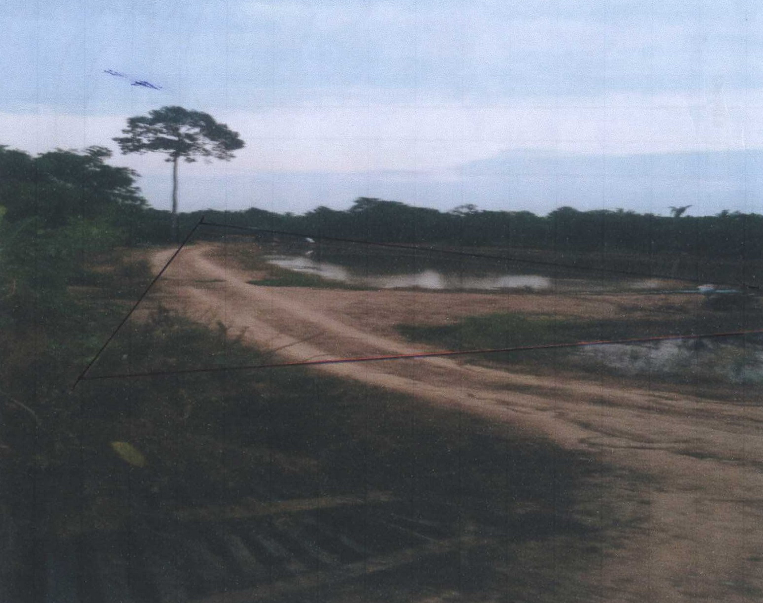 รูปที่ดินว่างเปล่า คลองคะเชนทร์ เมืองพิจิตร พิจิตร