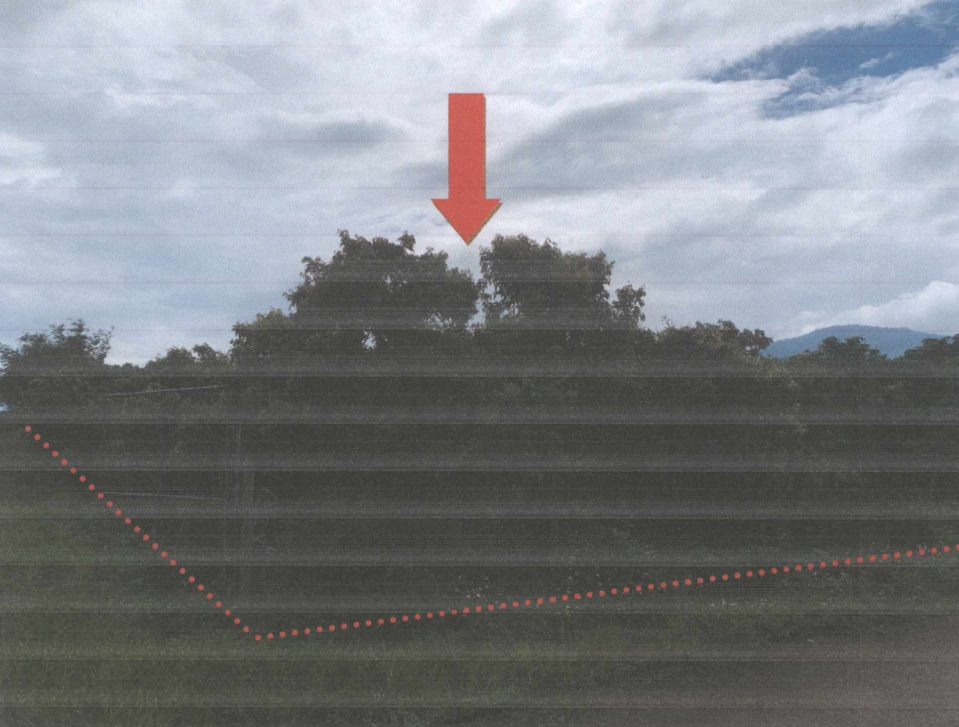 รูปที่ดินว่างเปล่า แม่สูน ฝาง เชียงใหม่