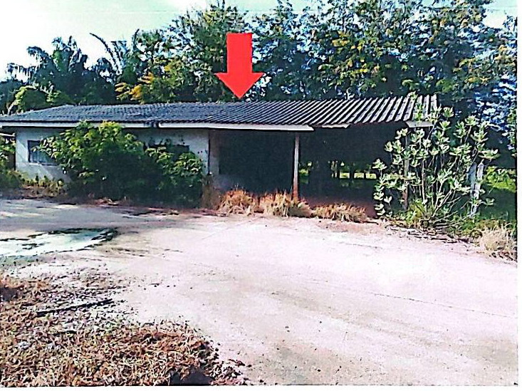 รูปที่ดินพร้อมสิ่งปลูกสร้าง บ้านผึ้ง เมืองนครพนม นครพนม