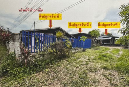 รูปที่ดินพร้อมสิ่งปลูกสร้าง สงเปลือย นามน กาฬสินธุ์