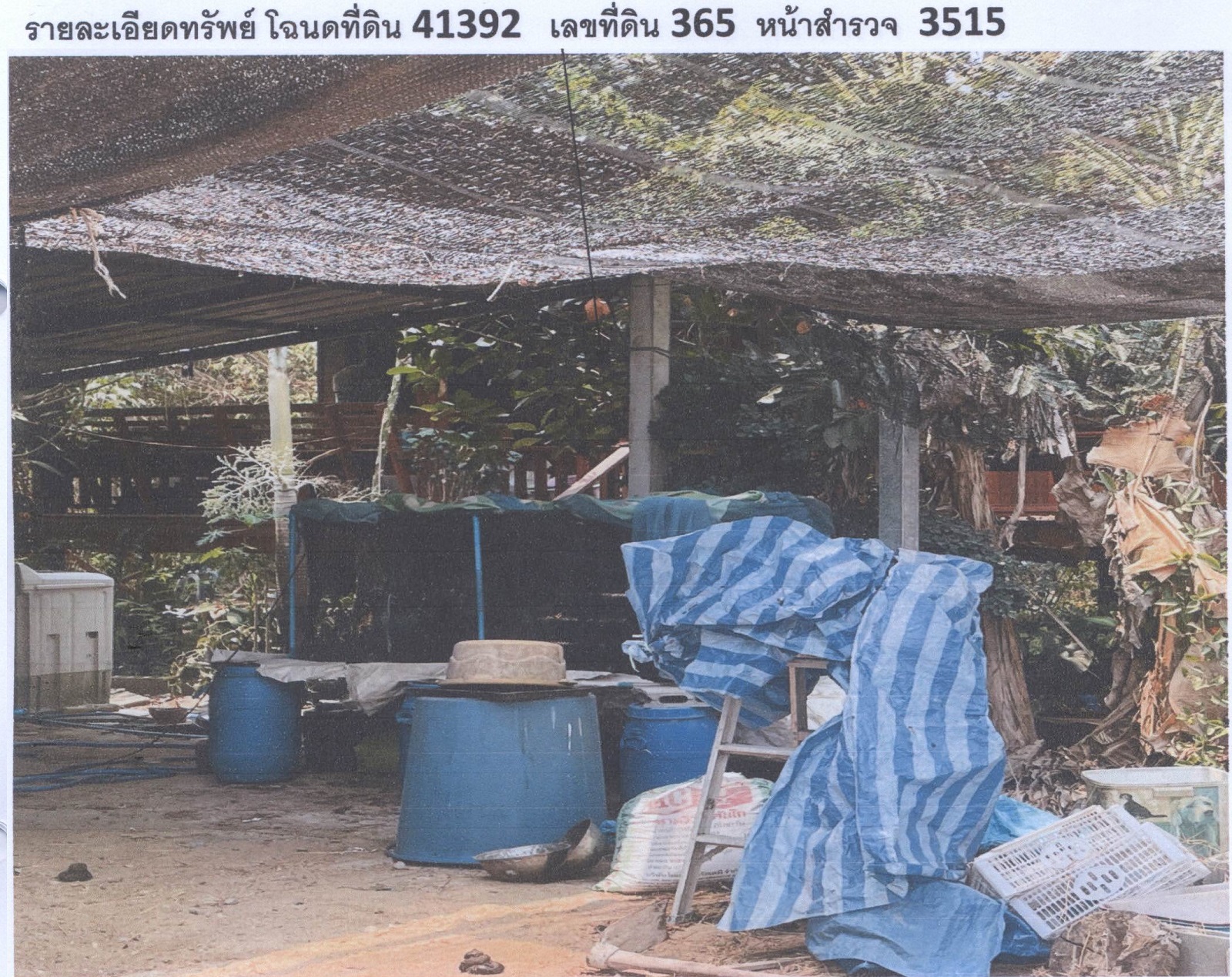 รูปที่ดินพร้อมสิ่งปลูกสร้าง ท้ายน้ำ โพทะเล พิจิตร