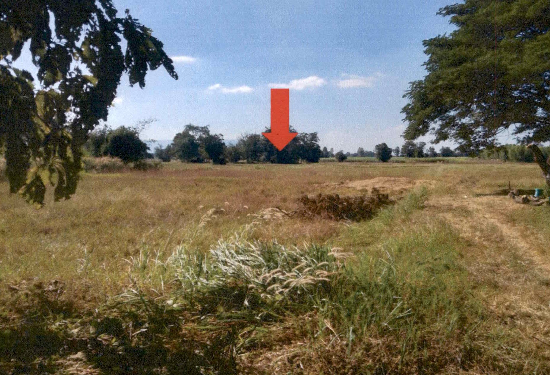 รูปที่ดินว่างเปล่า บ้านดอน ภูเขียว ชัยภูมิ