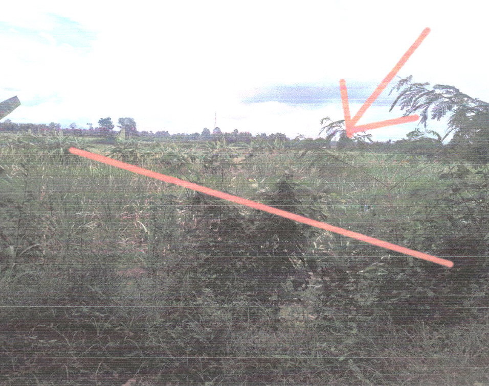 รูปที่ดินว่างเปล่า โคกสะอาด หนองบัวระเหว ชัยภูมิ
