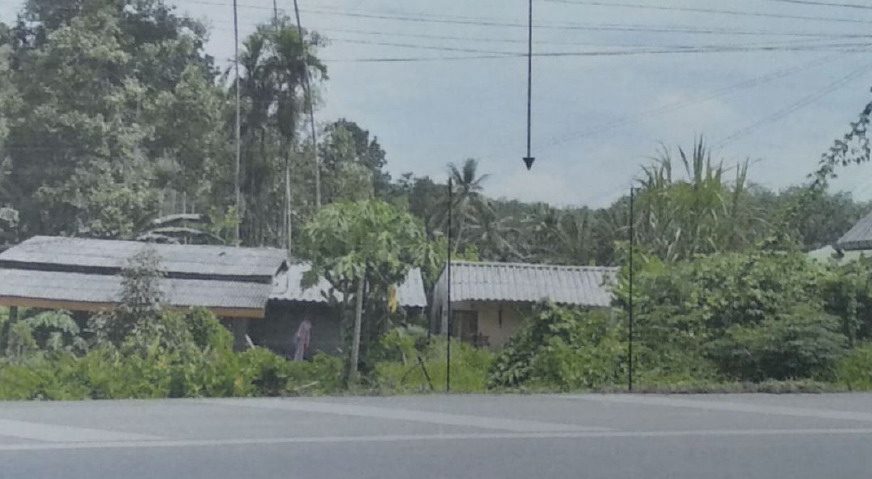 รูปที่ดินพร้อมสิ่งปลูกสร้าง เขาขาว ทุ่งสง นครศรีธรรมราช