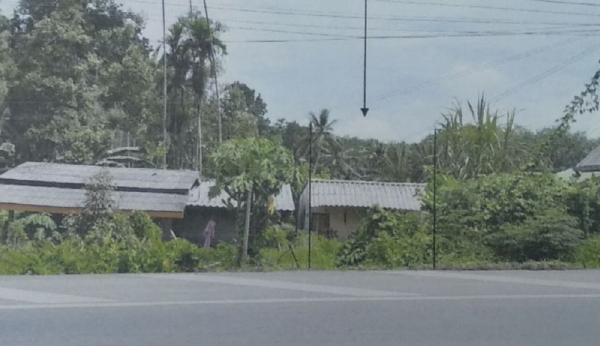 รูปที่ดินพร้อมสิ่งปลูกสร้าง เขาขาว ทุ่งสง นครศรีธรรมราช
