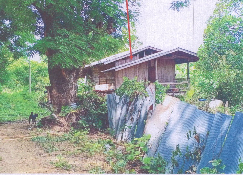 รูปที่ดินพร้อมสิ่งปลูกสร้าง บ้านปิน ดอกคำใต้ พะเยา
