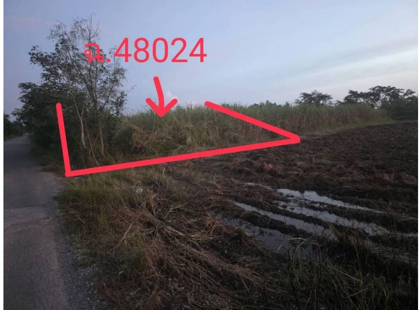 รูปที่ดินว่างเปล่า หนองขาม แก้งคร้อ ชัยภูมิ