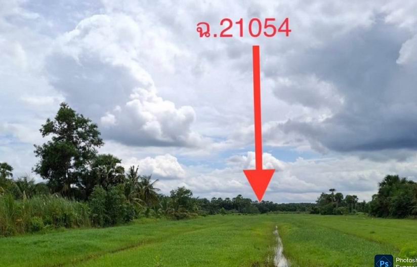 รูปที่ดินว่างเปล่า แม่เจ้าอยู่หัว เชียรใหญ่ นครศรีธรรมราช