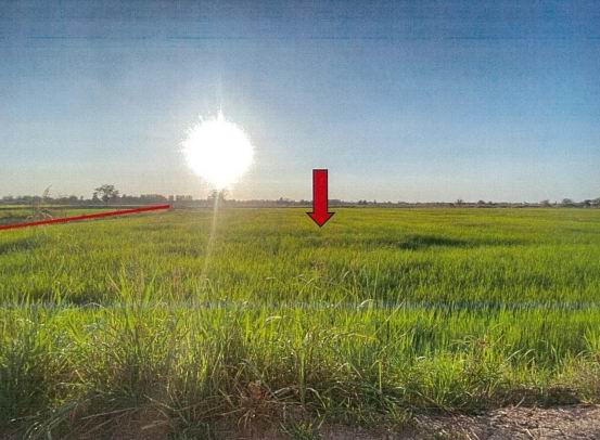 รูปที่ดินว่างเปล่า หลุมเข้า หนองขาหย่าง อุทัยธานี