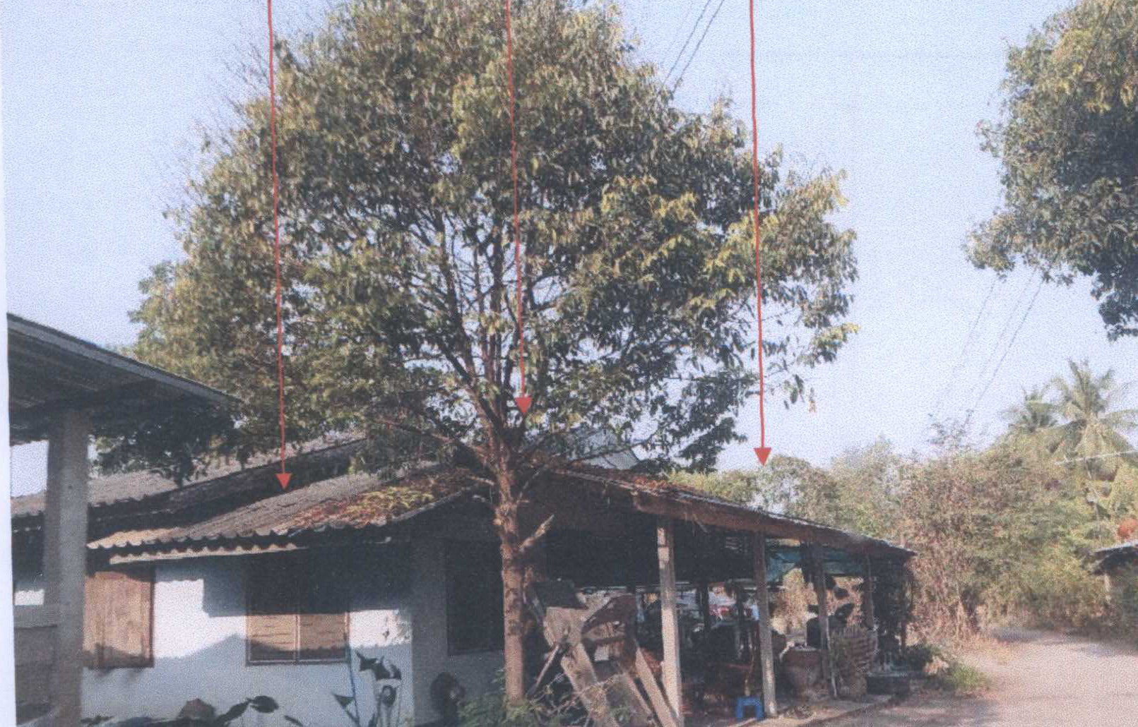 รูปที่ดินพร้อมสิ่งปลูกสร้าง บ้านแดน บรรพตพิสัย นครสวรรค์