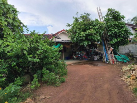 รูปที่ดินพร้อมสิ่งปลูกสร้าง หัวหว้า ศรีมหาโพธิ ปราจีนบุรี
