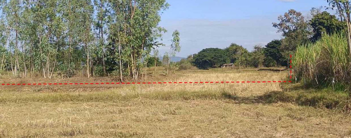 รูปที่ดินว่างเปล่า หนองสวรรค์ เมืองหนองบัวลำภู หนองบัวลำภู