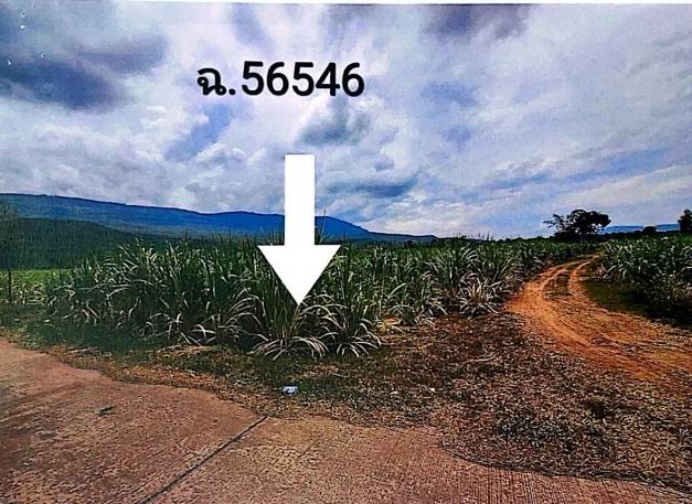 รูปที่ดินว่างเปล่า บ้านบัว เกษตรสมบูรณ์ ชัยภูมิ