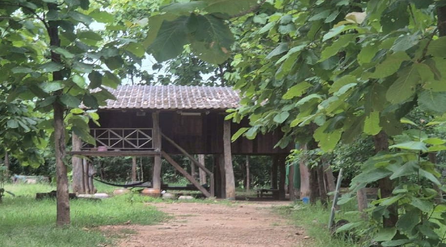 รูปที่ดินพร้อมสิ่งปลูกสร้าง บ้านแปะ จอมทอง เชียงใหม่