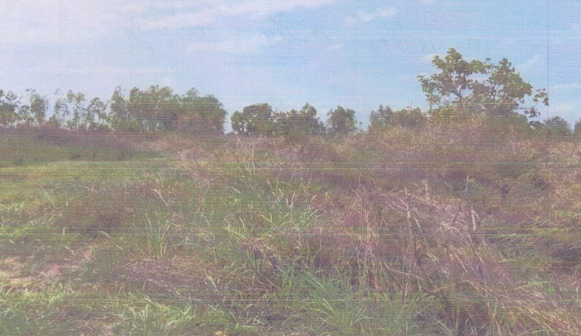 รูปที่ดินว่างเปล่า หนองไผ่ เมืองชัยภูมิ ชัยภูมิ