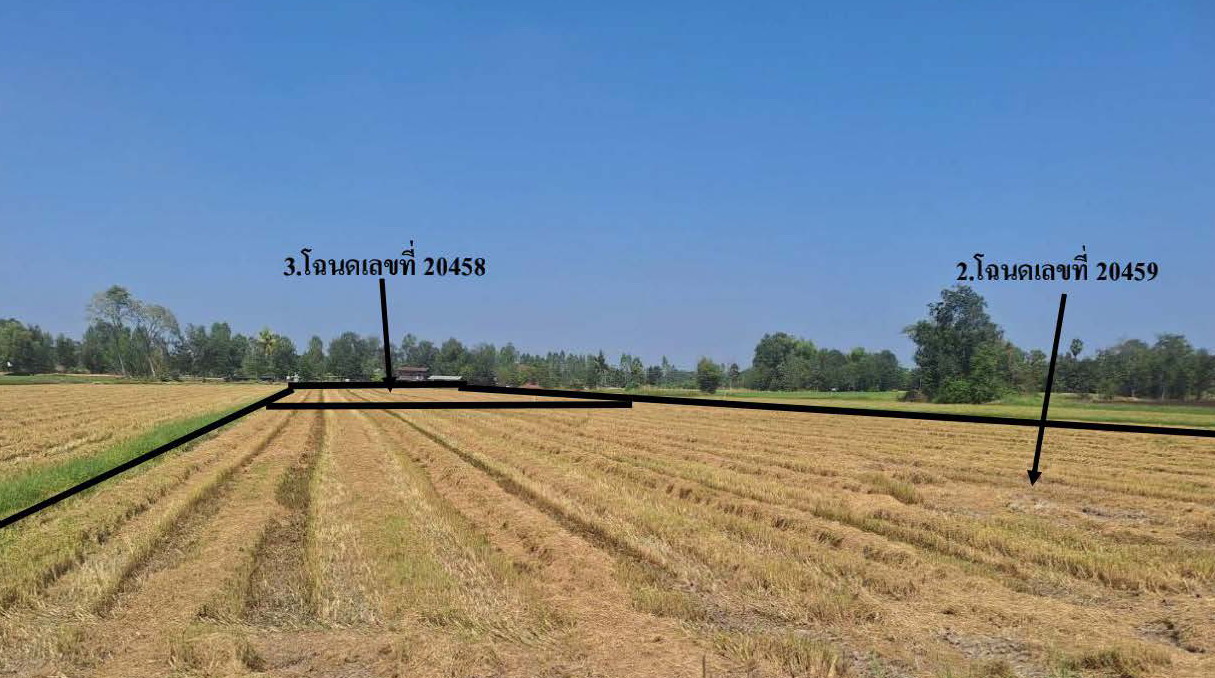 รูปที่ดินว่างเปล่า นาสนุ่น ศรีเทพ เพชรบูรณ์