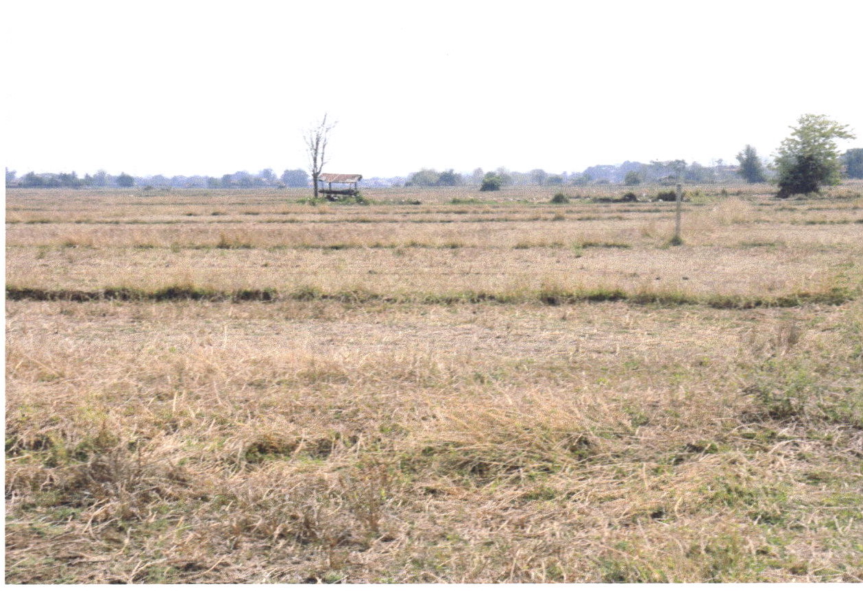 รูปที่ดินว่างเปล่า ทุ่งกวาว เมืองแพร่ แพร่