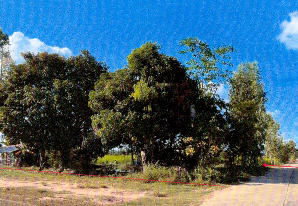 รูปที่ดินว่างเปล่า จาน เมืองศรีสะเกษ ศรีสะเกษ