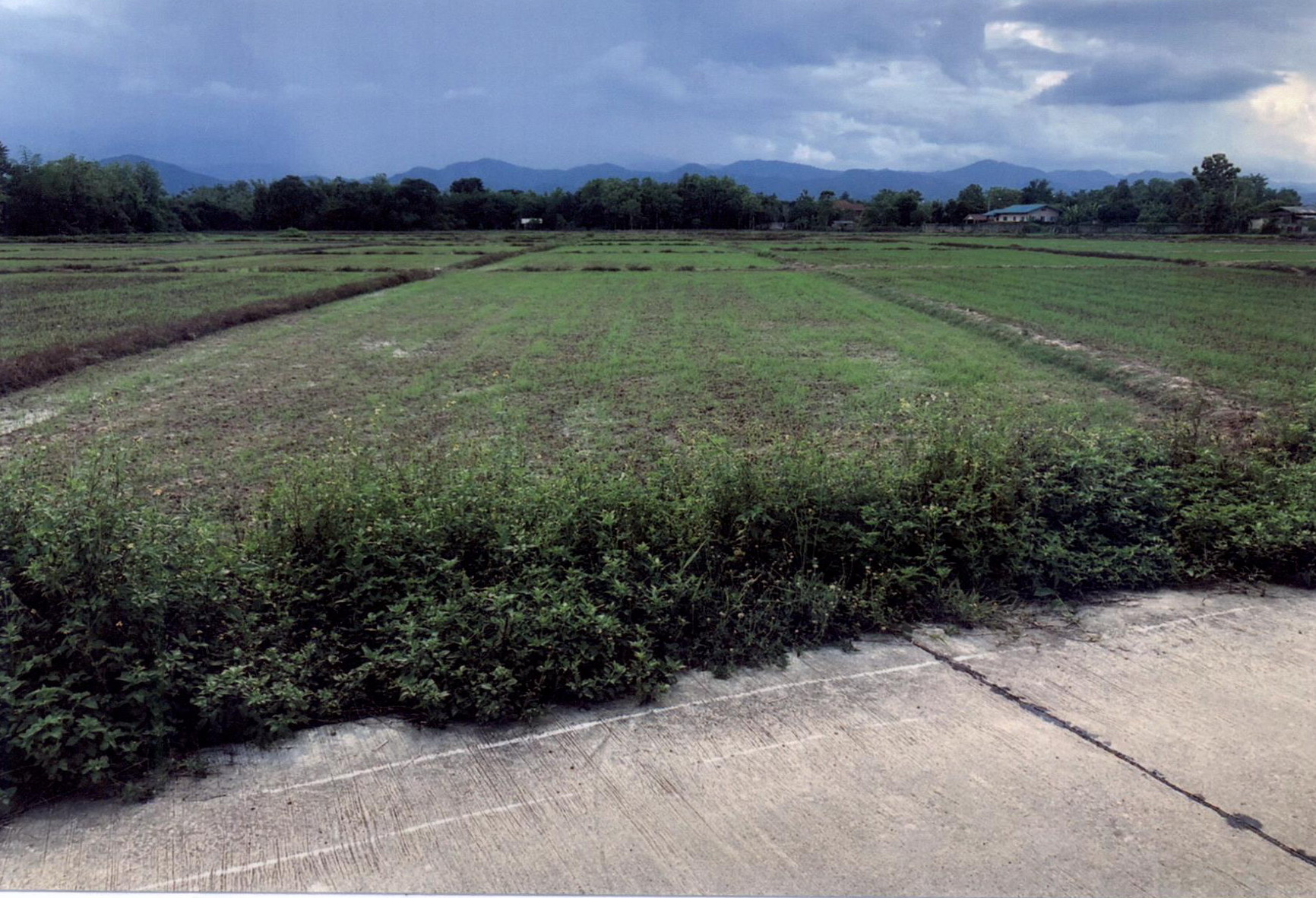 รูปที่ดินว่างเปล่า ห้วยหม้าย สอง แพร่
