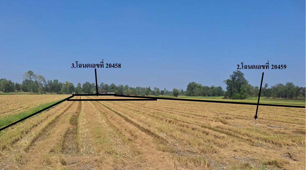 รูปที่ดินว่างเปล่า นาสนุ่น ศรีเทพ เพชรบูรณ์