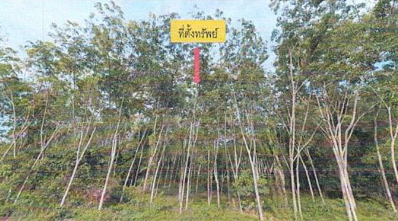 รูปที่ดินว่างเปล่า สาวอ รือเสาะ นราธิวาส