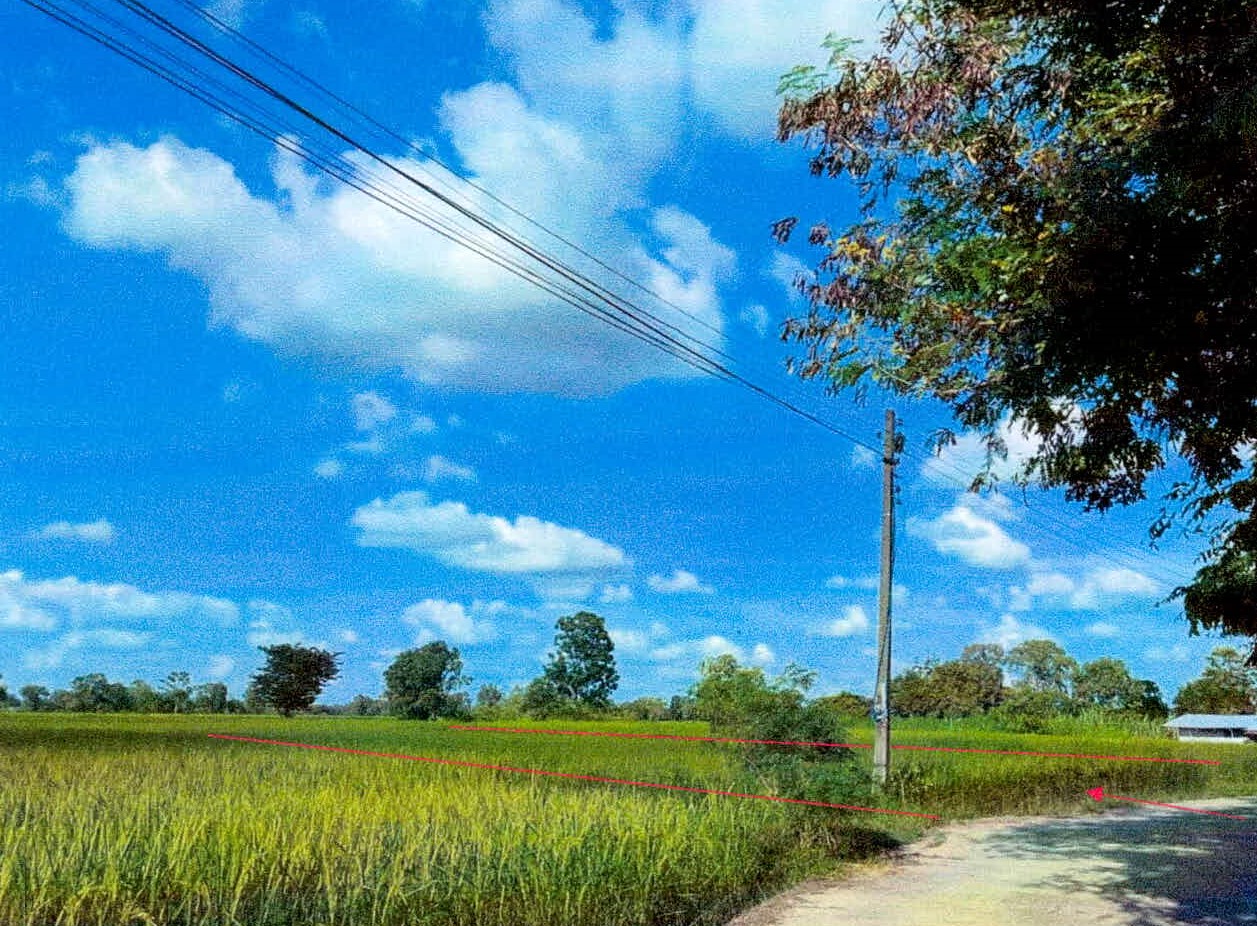 รูปที่ดินว่างเปล่า หนองไฮ เมืองศรีสะเกษ ศรีสะเกษ