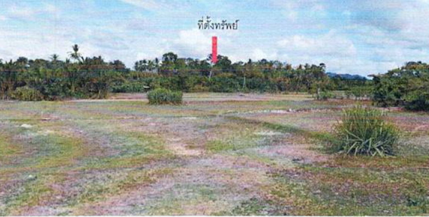 รูปที่ดินว่างเปล่า สาวอ รือเสาะ นราธิวาส