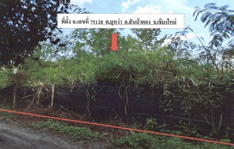 รูปที่ดินว่างเปล่า ยุหว่า สันป่าตอง เชียงใหม่