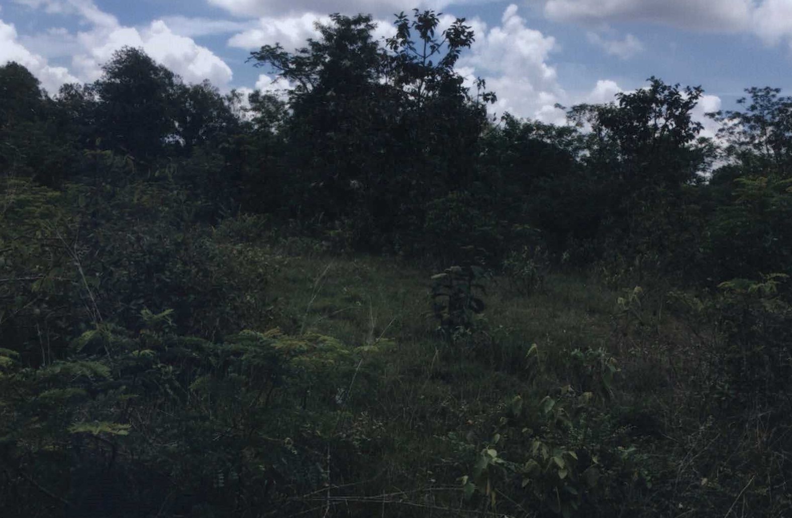 รูปที่ดินว่างเปล่า ขามใหญ่ เมืองอุบลราชธานี อุบลราชธานี