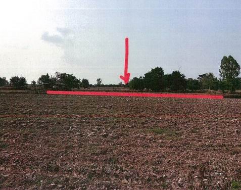 รูปที่ดินว่างเปล่า โคกสะอาด ฆ้องชัย กาฬสินธุ์