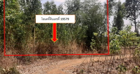 รูปที่ดินว่างเปล่า โนนแหลมทอง สหัสขันธ์ กาฬสินธุ์