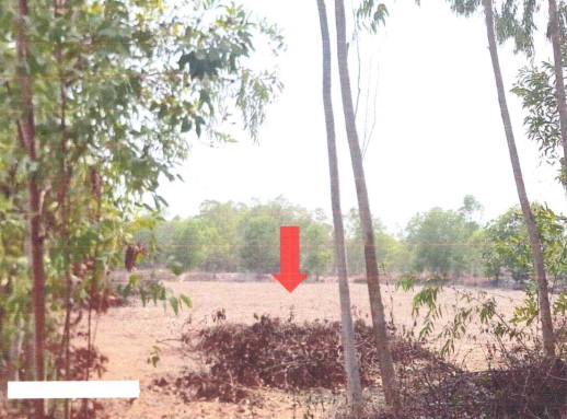 รูปที่ดินว่างเปล่า ดอนกลอย พิบูลย์รักษ์ อุดรธานี