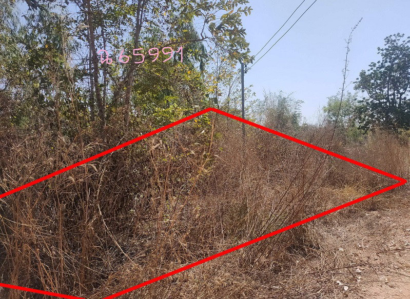 รูปที่ดินว่างเปล่า ขามเปี้ย ตระการพืชผล อุบลราชธานี