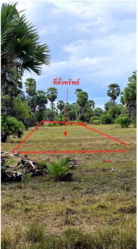 รูปที่ดินว่างเปล่า สนามชัย สทิงพระ สงขลา